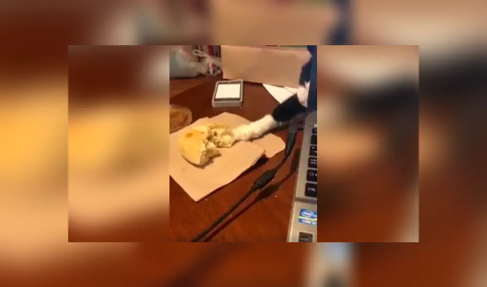 Desliza las imágenes hacia la izquierda para apreciar la sorpresa que se llevó un joven saber quien se robaba sus panes. Desliza las imágenes hacia la izquierda para apreciar la sorpresa que se llevó un joven saber quien se robaba sus panes.