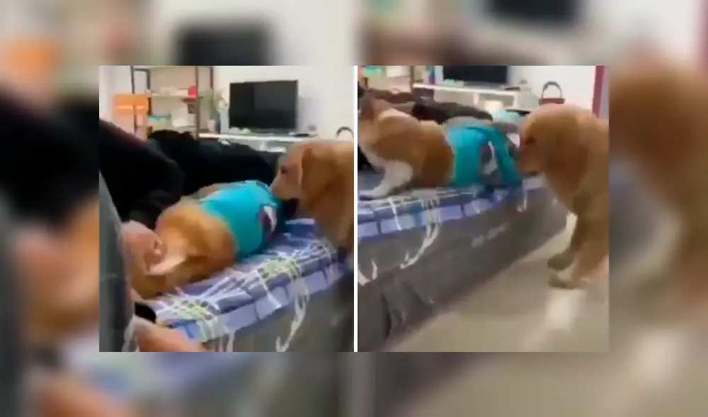 Desliza para ver las imágenes más divertidas del video que se hizo viral en Facebook. Desliza para ver las imágenes más divertidas del video que se hizo viral en Facebook.