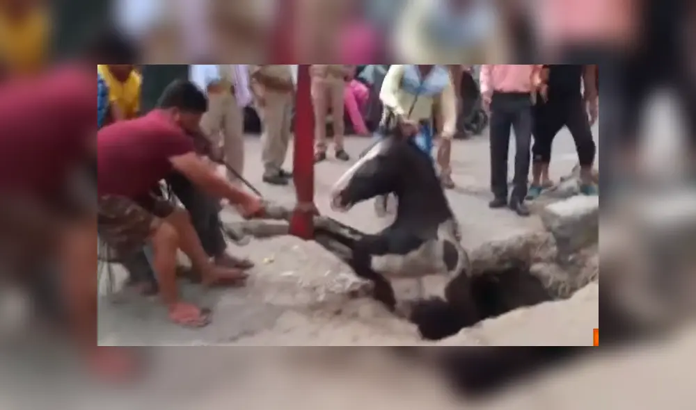 La operación de rescate duró alrededor de una hora. Foto: IndiaTv / YouTube La operación de rescate duró alrededor de una hora. Foto: IndiaTv / YouTube