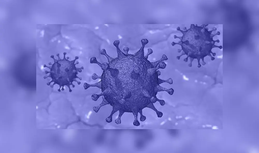 Imagen clínica del nuevo coronavirus SARS-CoV-2. Créditos: EuropaPress