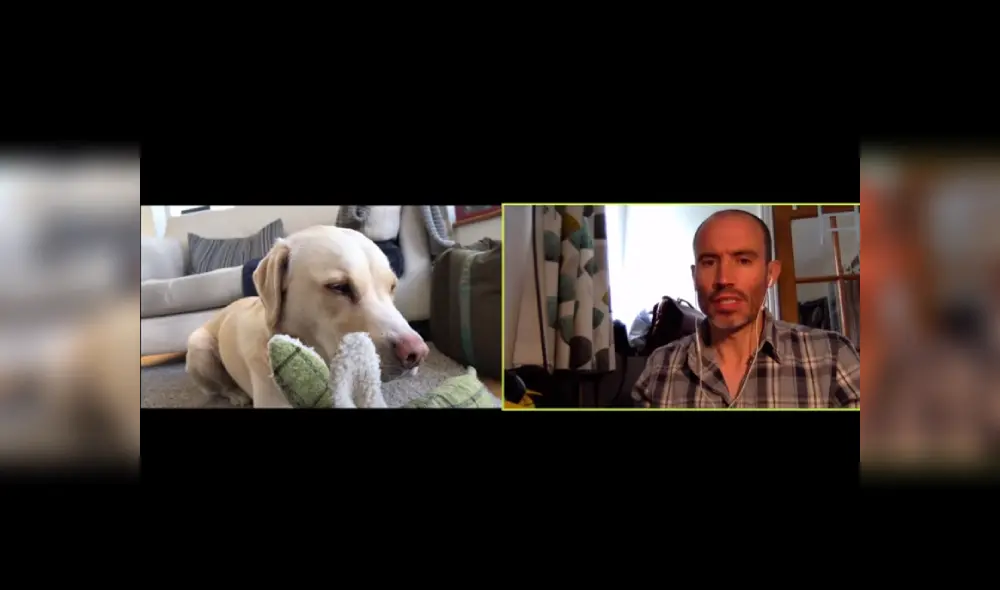 Desliza las imágenes para ver más sobre esta divertida 'conversación' que es viral en YouTube.