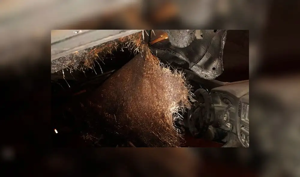 El mandamás del cuadro edil sufrió el ataque contra su auto durante la madrugada. Foto: Difusión.