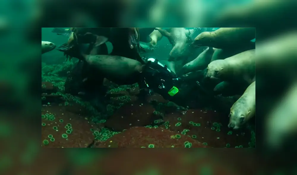 Desliza para ver los momentos más impactantes de este encuentro que se hizo viral en Facebook.