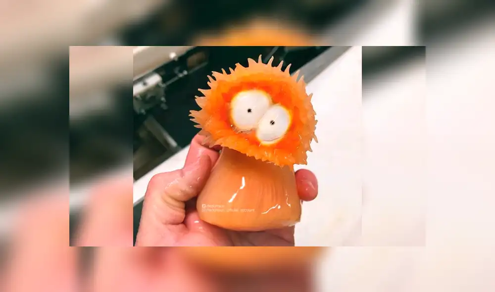 10 extrañas criaturas capturadas en el fondo del mar cuyo aspecto asusta a todos [FOTOS]