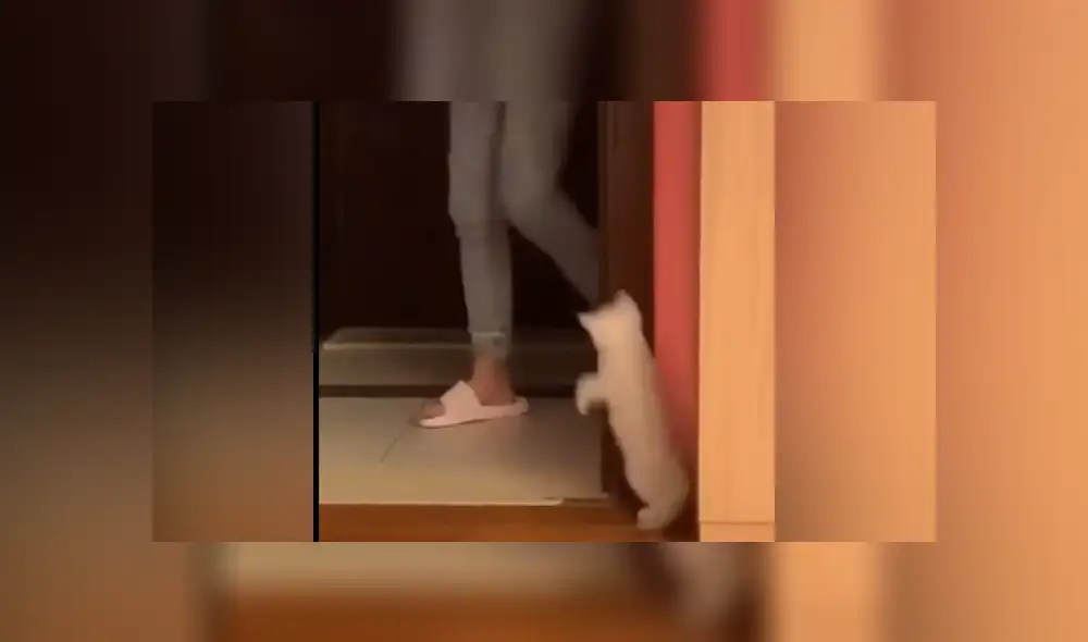 Desliza las imágenes para conocer más sobre esta escena que ya es viral en Facebook. Desliza las imágenes para conocer más sobre esta escena que ya es viral en Facebook.