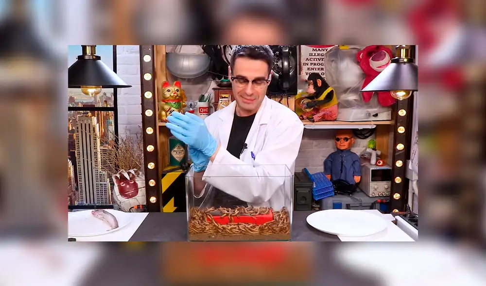 YouTube: Lanzan comida en lata dentro de envase con supergusanos carnívoros y sucede algo inesperado [VIDEO]