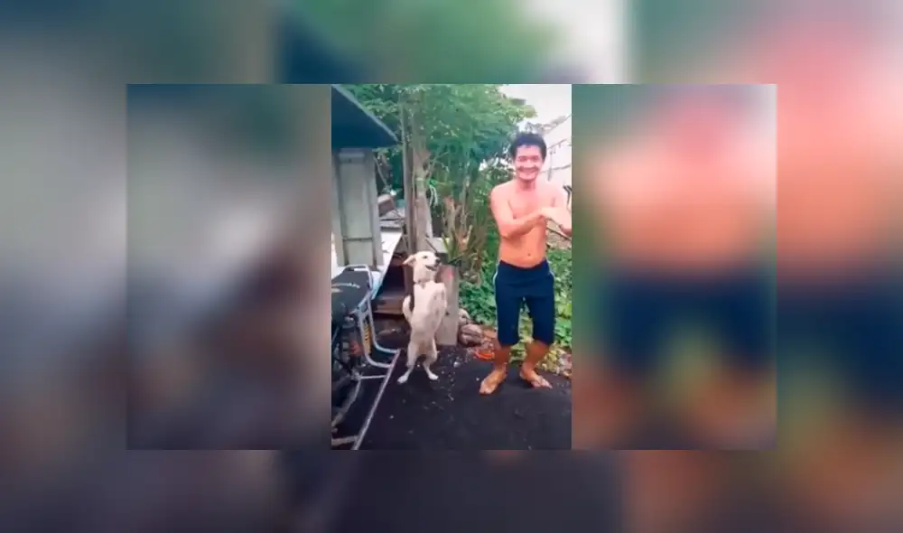 Desliza las imágenes hacia la izquierda para apreciar los pasos de bailar que realizó un perro junto a su dueño.