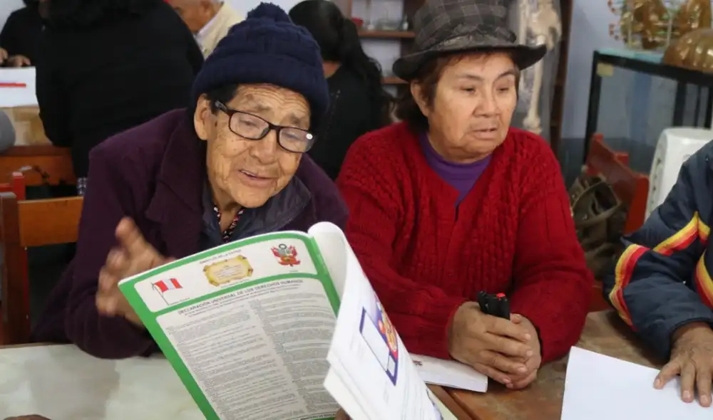 La población adulta mayor representa el 11,9% de los peruanos. La población adulta mayor representa el 11,9% de los peruanos.