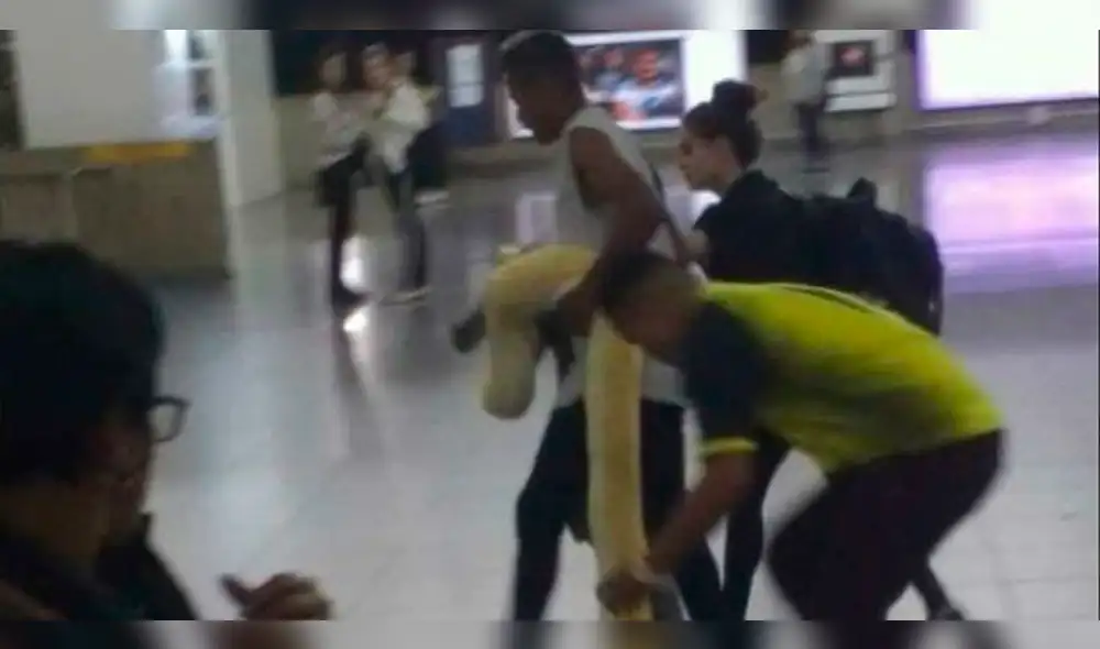 YouTube: histeria y descontrol al descubrir serpiente de 2 metros en tren [VIDEO]