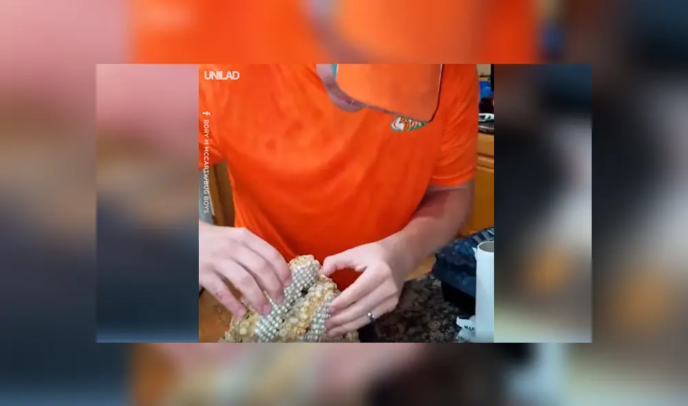 Si quieres ver lo que encontró un joven de Estados Unidos dentro de una bolsa, desliza cada imagen de YouTube hacia la izquierda.