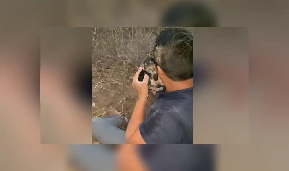 Un joven rescató a unos cachorros que estaban enterrados varios metros. Foto: Facebook