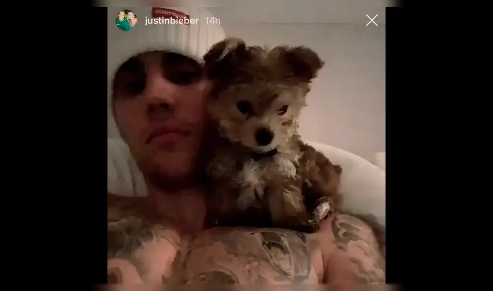 Repudian a Justin Bieber y Hailey Baldwin por supuesto maltrato animal [VIDEO]