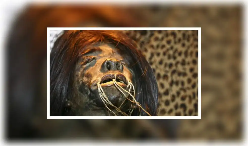 Recuperan cabeza reducida y otros objetos de bienes arqueológicos