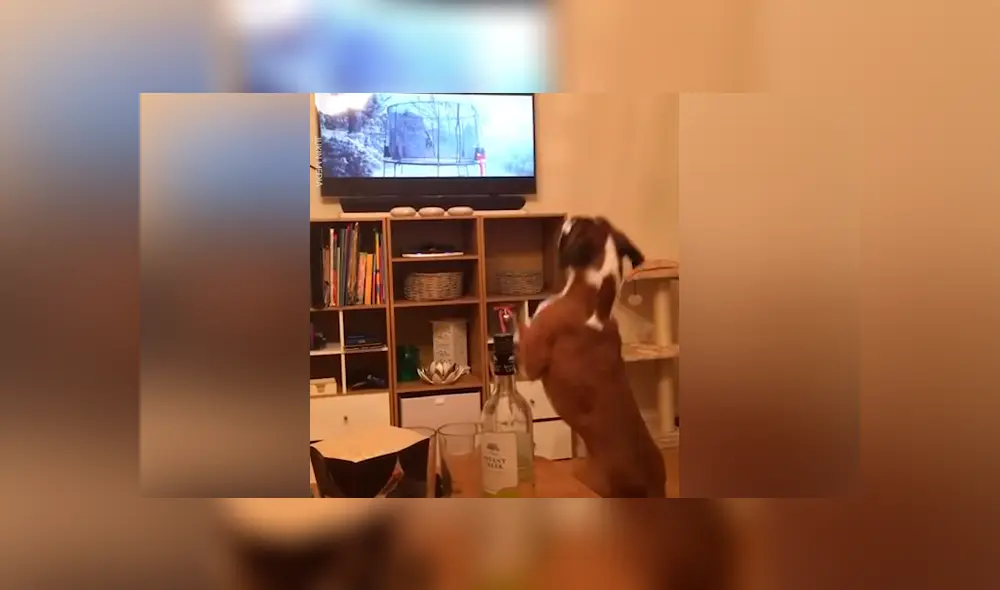 Desliza para ver los momentos más tierno del video que se hizo viral en Facebook. Desliza para ver los momentos más tierno del video que se hizo viral en Facebook.