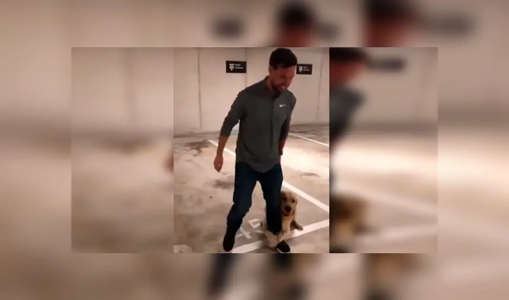 En Facebook, un perro deseaba jugar con su dueño y lo sujetó de la pierna para que no se vaya a trabajar. En Facebook, un perro deseaba jugar con su dueño y lo sujetó de la pierna para que no se vaya a trabajar.
