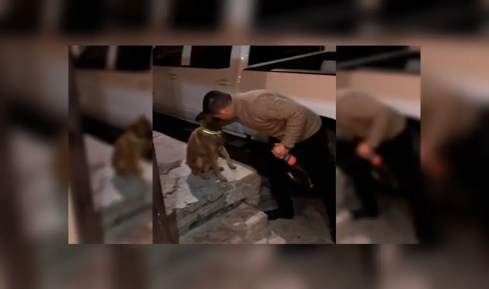 Desliza para ver los detalles de este video viral publicado en Facebook. Foto: Captura. Desliza para ver los detalles de este video viral publicado en Facebook. Foto: Captura.