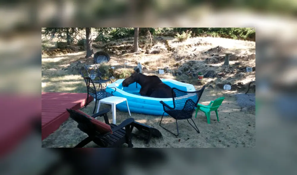 Desliza la imagen de Facebook para ver todas las fotos. Desliza la imagen de Facebook para ver todas las fotos.