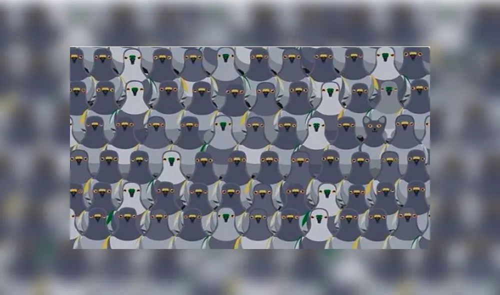 reto viral reto viral