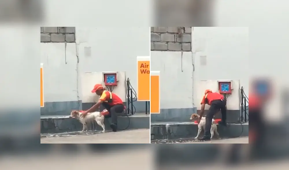 Un grifero se ganó la admiración de miles de usuarios de YouTube tras ser captado bañando a un perro callejero. Un grifero se ganó la admiración de miles de usuarios de YouTube tras ser captado bañando a un perro callejero.