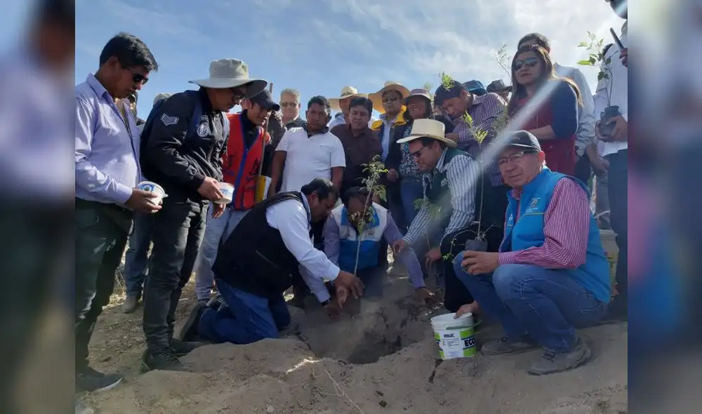 Pobladores participaron en campaña de forestación en Arequipa. Pobladores participaron en campaña de forestación en Arequipa.