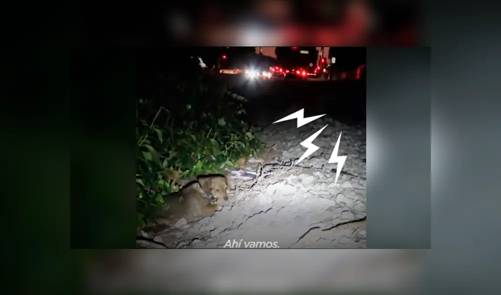 Desliza hacia la izquierda para ver el conmovedor rescate. Imágenes del video viral de YouTube. Desliza hacia la izquierda para ver el conmovedor rescate. Imágenes del video viral de YouTube.