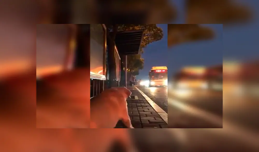 En Facebook, un perro esperaba entusiasmado la llegada de su cuidador y al verlo corría para darle un abrazo. En Facebook, un perro esperaba entusiasmado la llegada de su cuidador y al verlo corría para darle un abrazo.