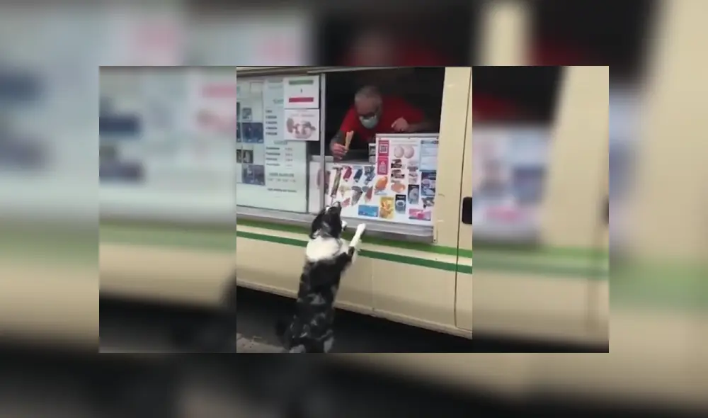 Desliza las imágenes para conocer la tierna reacción de un perro cuando vio al camión de helados. Fotos: Captura.