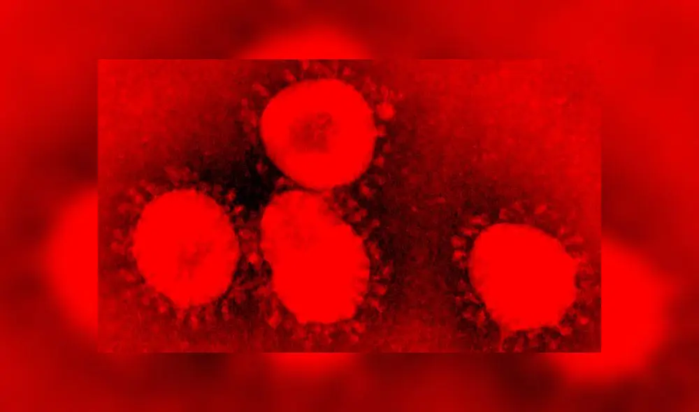 El SARS-CoV-2 es más contagioso y letal que la gripe. Imagen microscópica de un coronavirus. El SARS-CoV-2 es más contagioso y letal que la gripe. Imagen microscópica de un coronavirus.