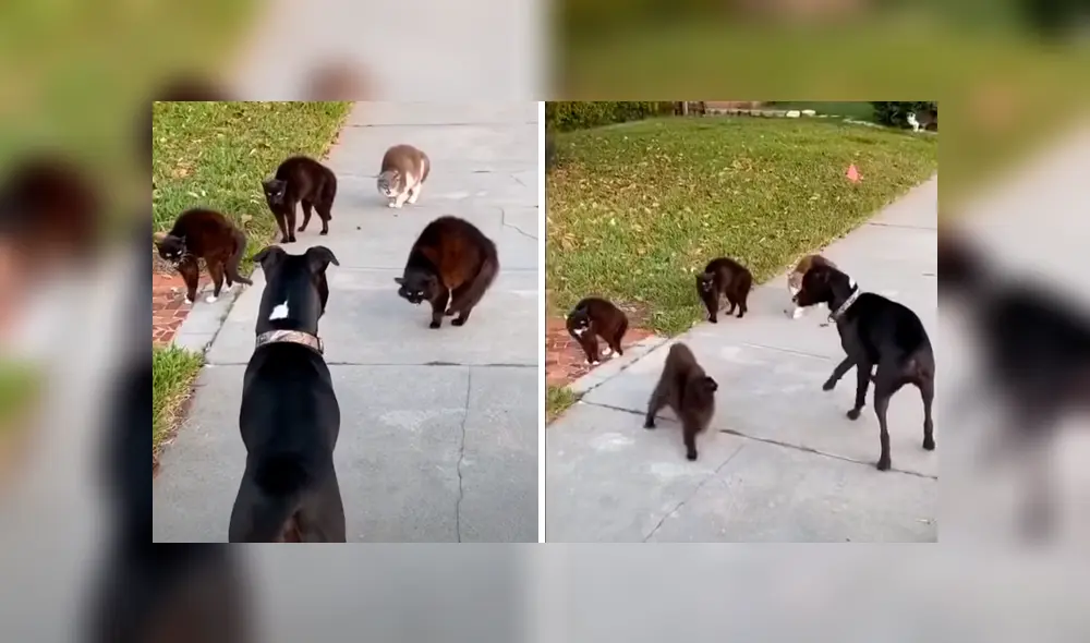 Desliza la imagen de Facebook para ver todas las fotos. Desliza la imagen de Facebook para ver todas las fotos.