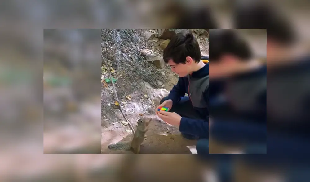 En Facebook, una ardilla quedó fascinada con la habilidad de un chico y quiso imitar sus movimientos.