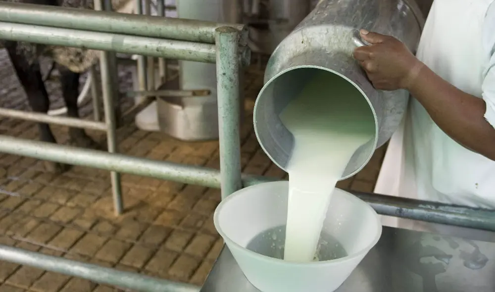 Leche ganadería vacas ganadero Foto: LR