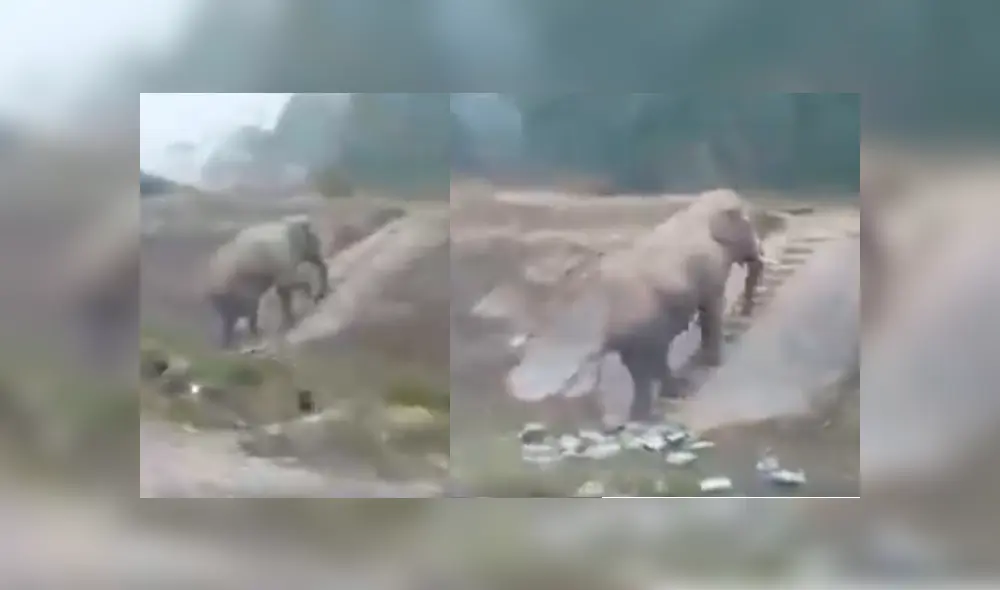 Desliza hacia la izquierda para ver más del video viral Desliza hacia la izquierda para ver más del video viral