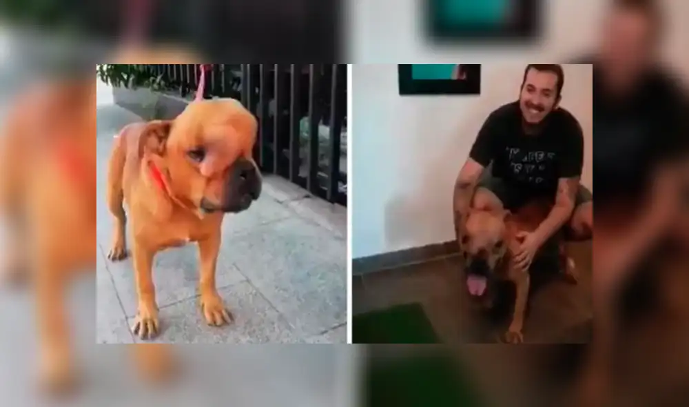 YouTube viral: hombre adoptó a perro con tumor maligno para darle amor y cuidarlo en sus últimos días de vida