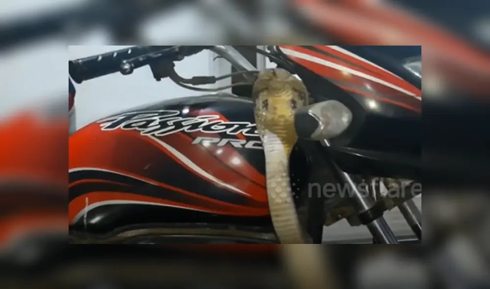 Desliza hacia la izquierda para ver las imágenes del viral de Facebook. Foto: Captura. Desliza hacia la izquierda para ver las imágenes del viral de Facebook. Foto: Captura.