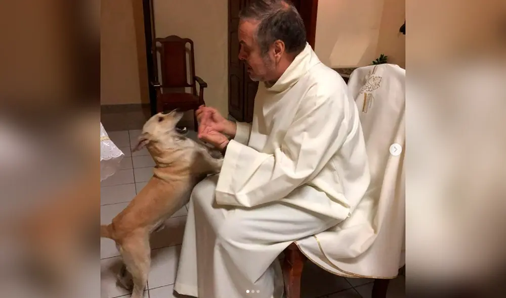 Desliza las imágenes para ver la destacada labor del sacerdote con perritos de la calle. Foto: Facebook