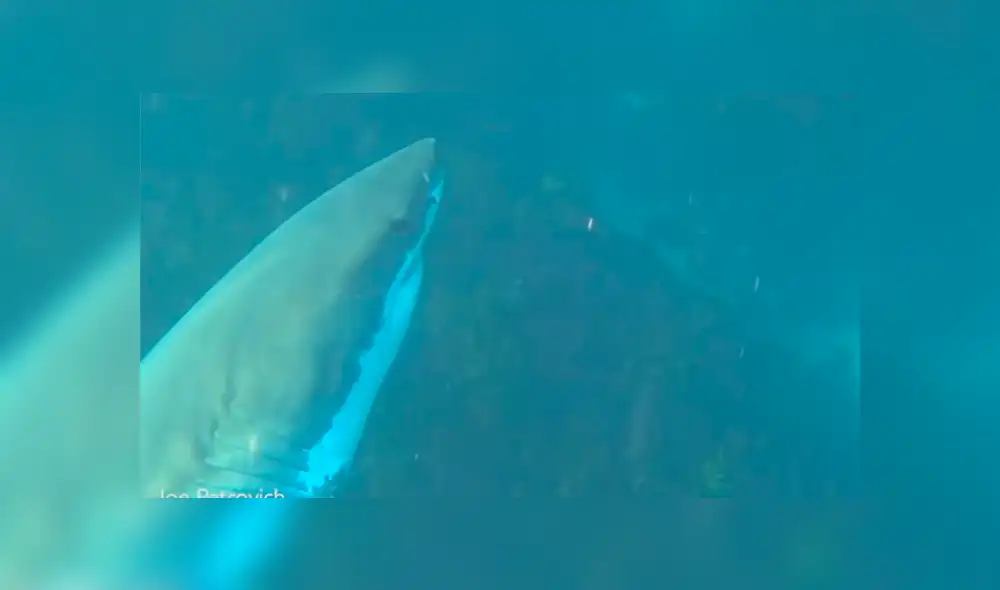 Desliza para ver los momentos más aterradores del video que se hizo viral en YouTube. Desliza para ver los momentos más aterradores del video que se hizo viral en YouTube.