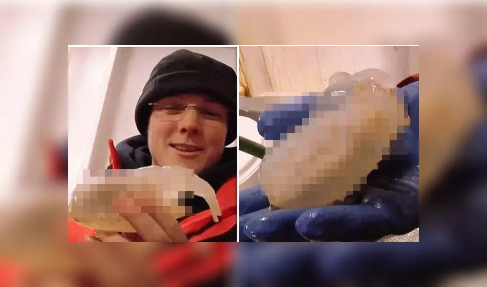 Científicos atrapan extraña criatura bajo hielo en la Antártida y su aterrador aspecto sorprende a miles [VIDEO]