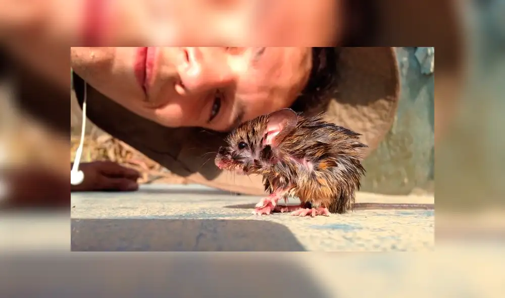 Desliza hacia la izquierda para ver las imágenes del viral de Facebook. Desliza hacia la izquierda para ver las imágenes del viral de Facebook.