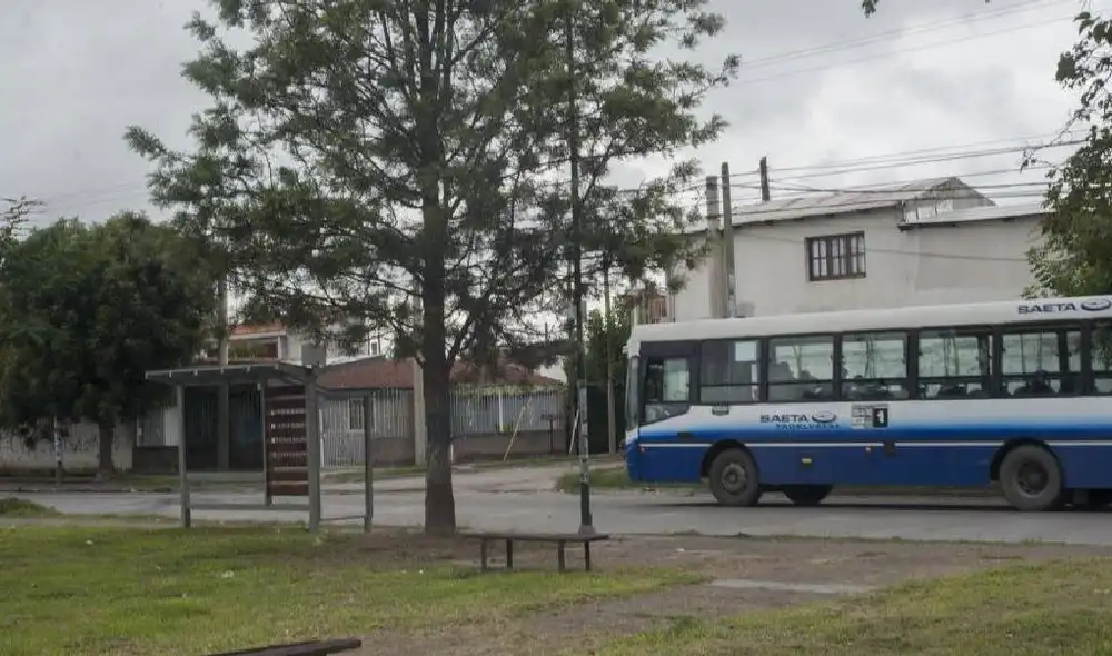 Ana no tuvo mejor idea que apostar por una verdulería en medio de la crisis por COVID-19. Foto: Facebook Ana no tuvo mejor idea que apostar por una verdulería en medio de la crisis por COVID-19. Foto: Facebook