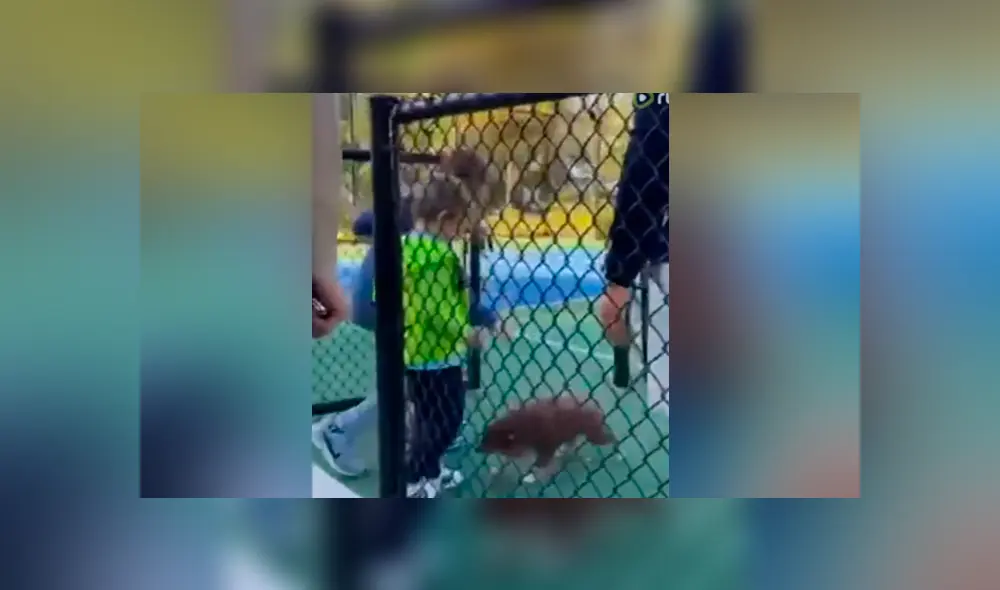 Desliza para ver los momentos más tiernos del video que se hizo viral en YouTube. Desliza para ver los momentos más tiernos del video que se hizo viral en YouTube.