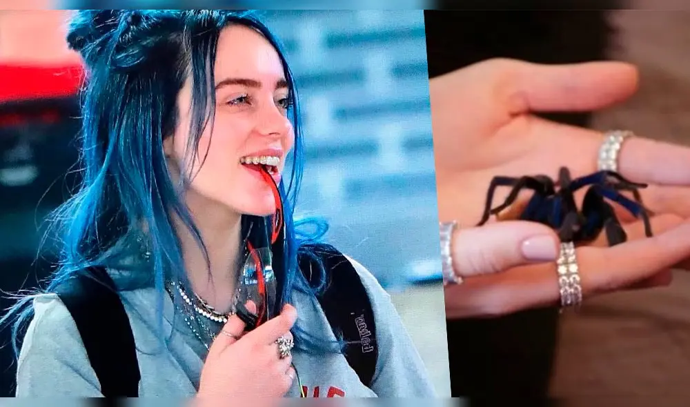 La cantante presentó a su araña y le jugó una cruel broma a James Corden. La cantante presentó a su araña y le jugó una cruel broma a James Corden.