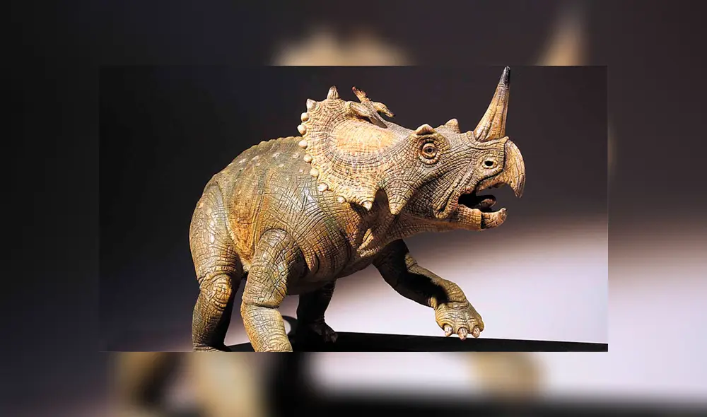 El cáncer fue localizado en el hueso peroné de un ‘Centrosaurus apertus’, un dinosaurio con cuernos que vivió hace 77 millones de años. Foto: Difusión El cáncer fue localizado en el hueso peroné de un ‘Centrosaurus apertus’, un dinosaurio con cuernos que vivió hace 77 millones de años. Foto: Difusión