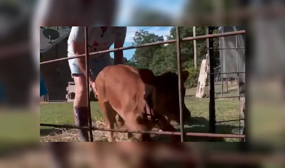 Desliza las imágenes para ver más detalles de esta conmovedora historia que es viral en YouTube.