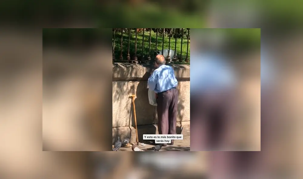 Desliza las imágenes hacia la izquierda para conocer la noble acción de un anciano al ayudar a unos indefensos gatos. Fotocaptura: Faceboook. Desliza las imágenes hacia la izquierda para conocer la noble acción de un anciano al ayudar a unos indefensos gatos. Fotocaptura: Faceboook.