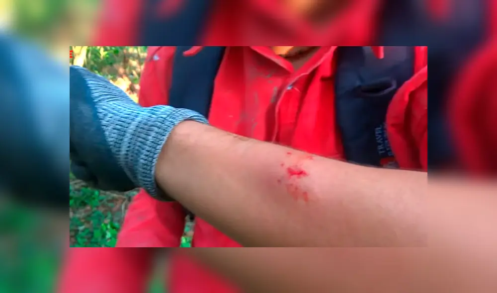 Desliza las imágenes para ver lo que sucedió con este joven investigador. Foto: YouTube Desliza las imágenes para ver lo que sucedió con este joven investigador. Foto: YouTube