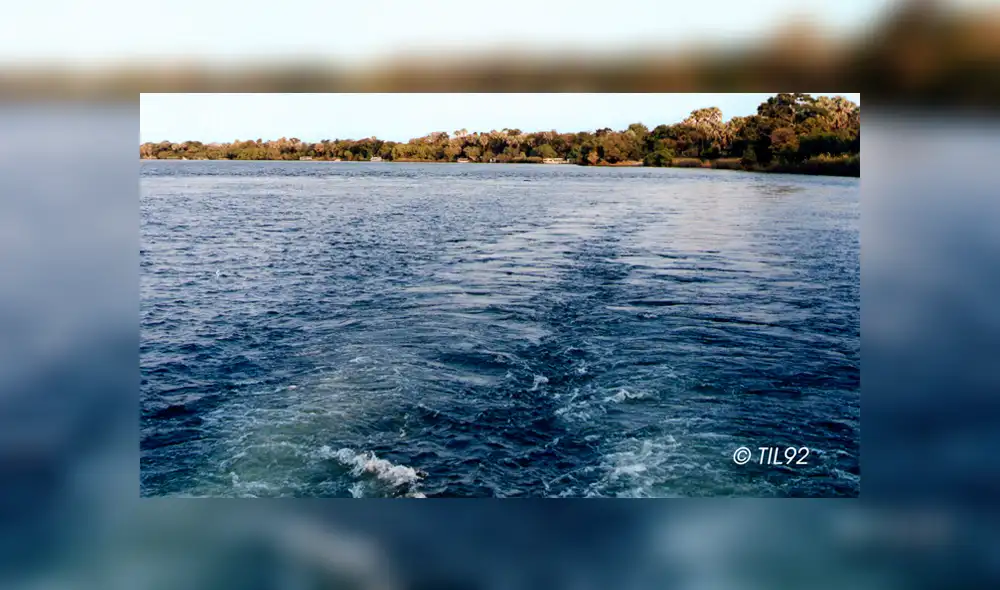 Científicos sitúan el origen de los seres humanos en África. Foto: Difusión Científicos sitúan el origen de los seres humanos en África. Foto: Difusión