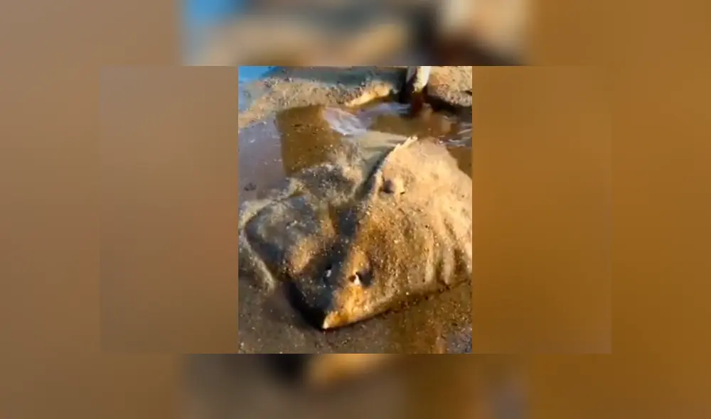 Facebook viral: se topa con misterioso lodo que ‘respira’, se asoma y descubre lo más insólito Facebook viral: se topa con misterioso lodo que ‘respira’, se asoma y descubre lo más insólito