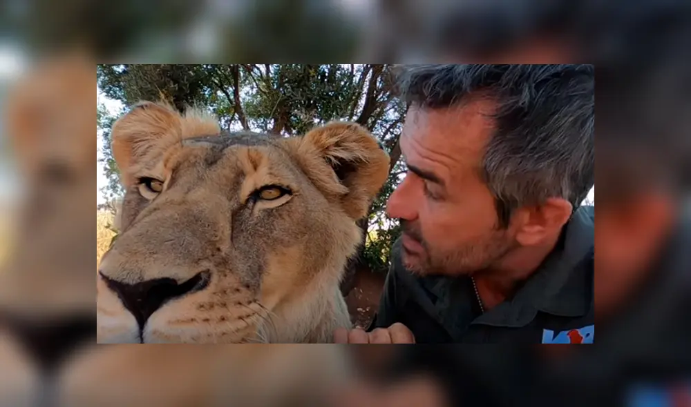 Desliza hacia la izquierda para ver las imágenes del viral de la leona con su cuidador. Imágenes del video de Youtube.