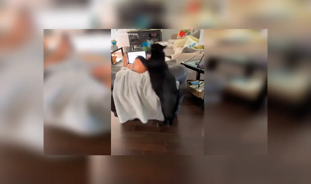 En Tik Tok, un joven preparó una cruel broma para su padre y no esperaba ocasionar un terrible incidente. En Tik Tok, un joven preparó una cruel broma para su padre y no esperaba ocasionar un terrible incidente.