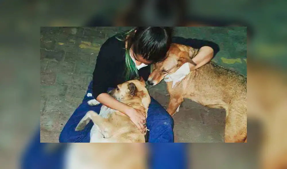 Desliza hacia la izquierda para ver las fotos virales de Facebook. Desliza hacia la izquierda para ver las fotos virales de Facebook.